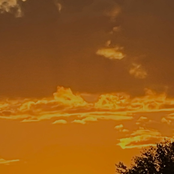 Meet your Posher, No - Picture 1 of 1